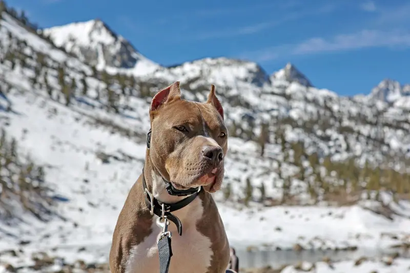 Calendar Photos 2015 — photo 1