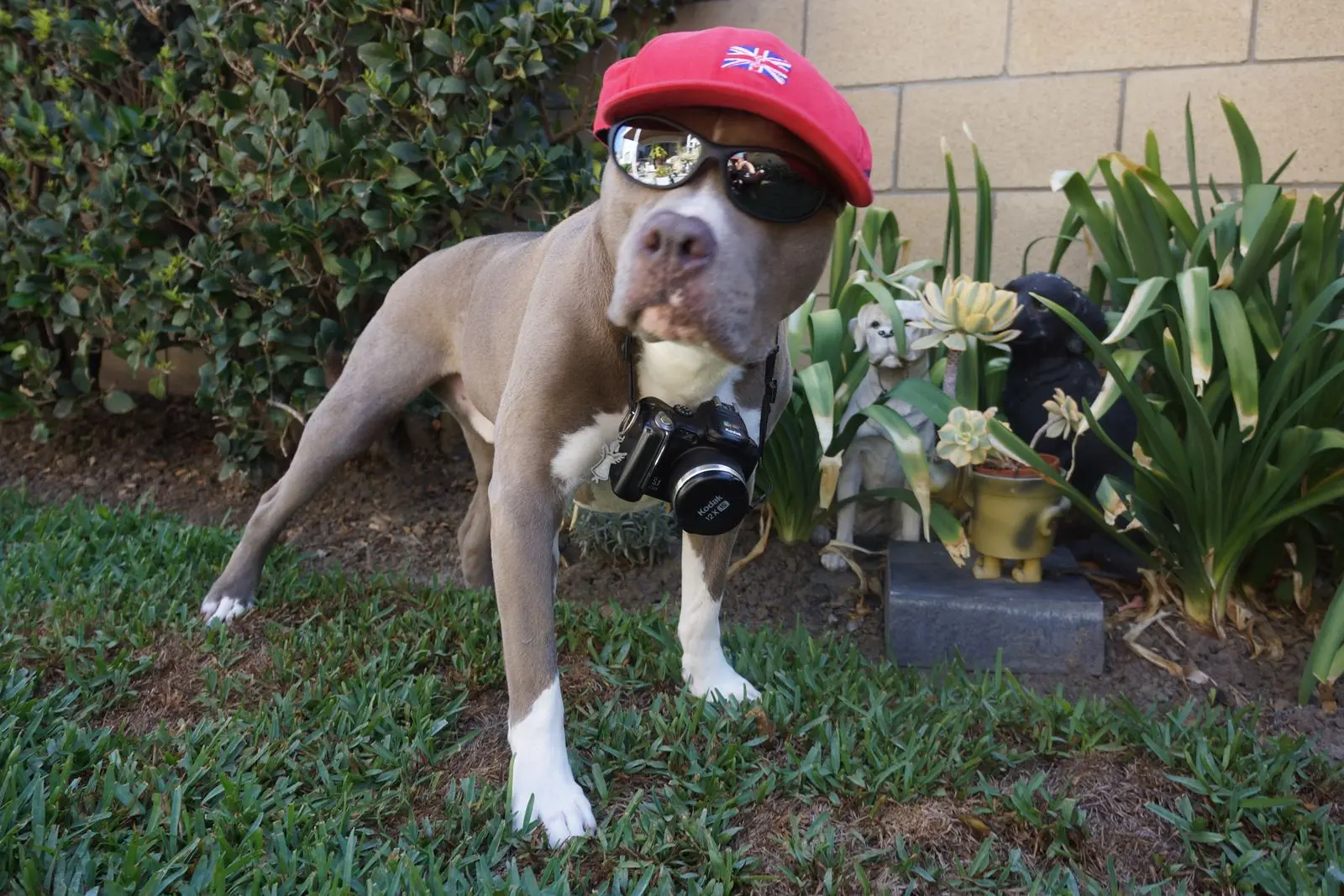Diesel — Lean, Mean Machine