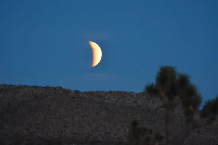Joshua Tree National Park