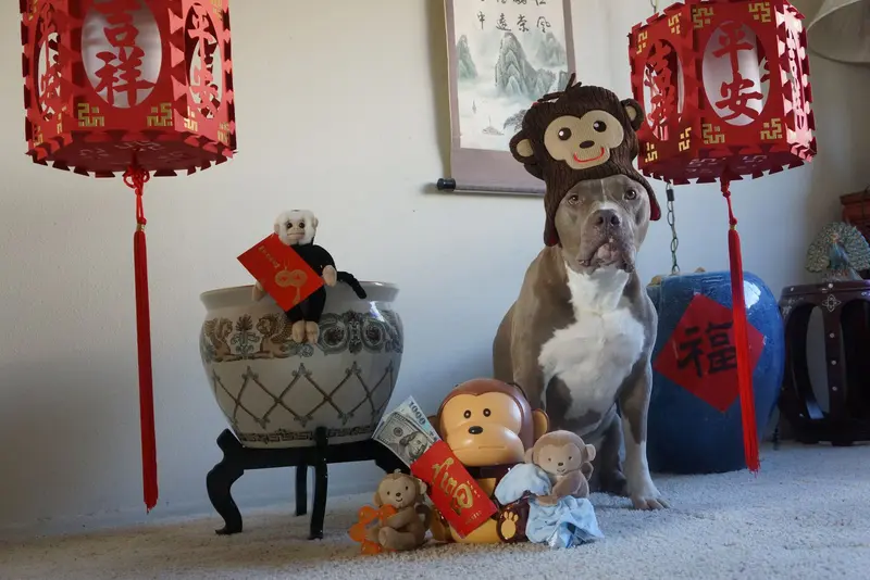 Calendar Photos 2016 — photo 2