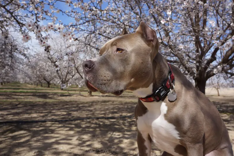 Calendar Photos 2014 — photo 4