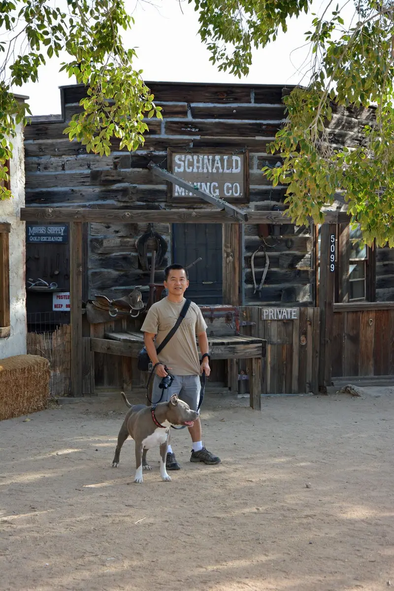 Joshua Tree National Park — photo 4