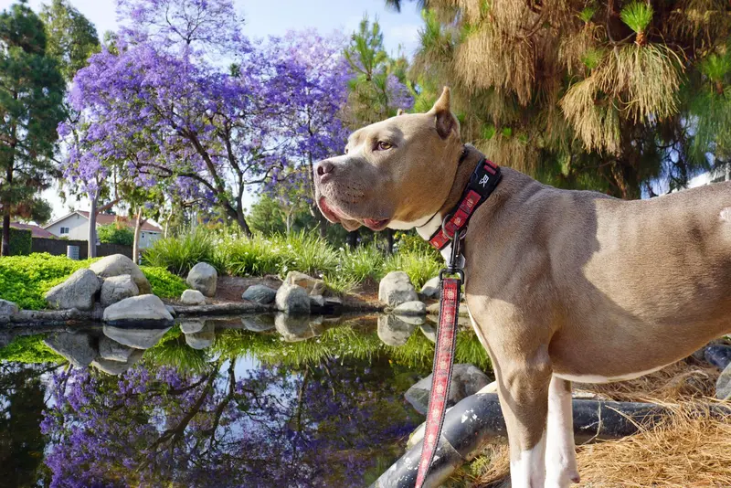 Calendar Photos 2015 — photo 6