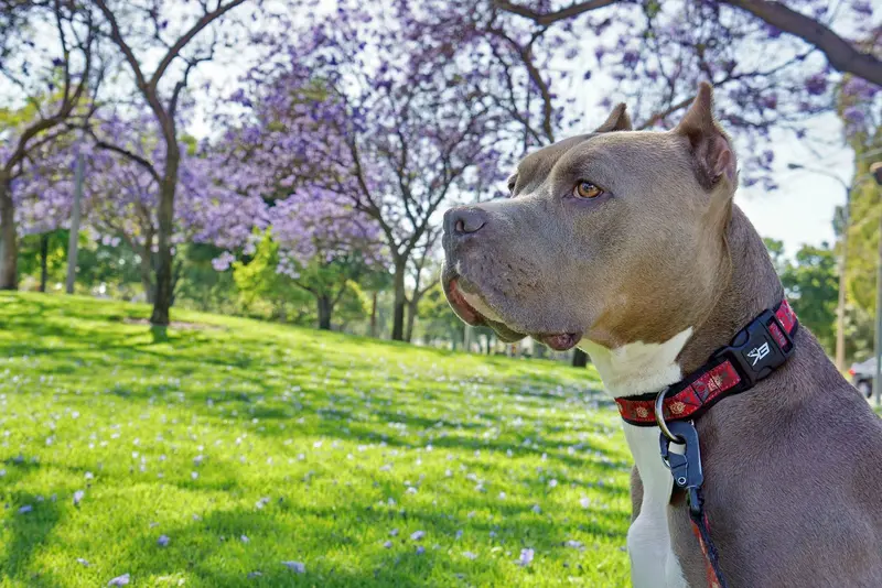 Calendar Photos 2015 — photo 7