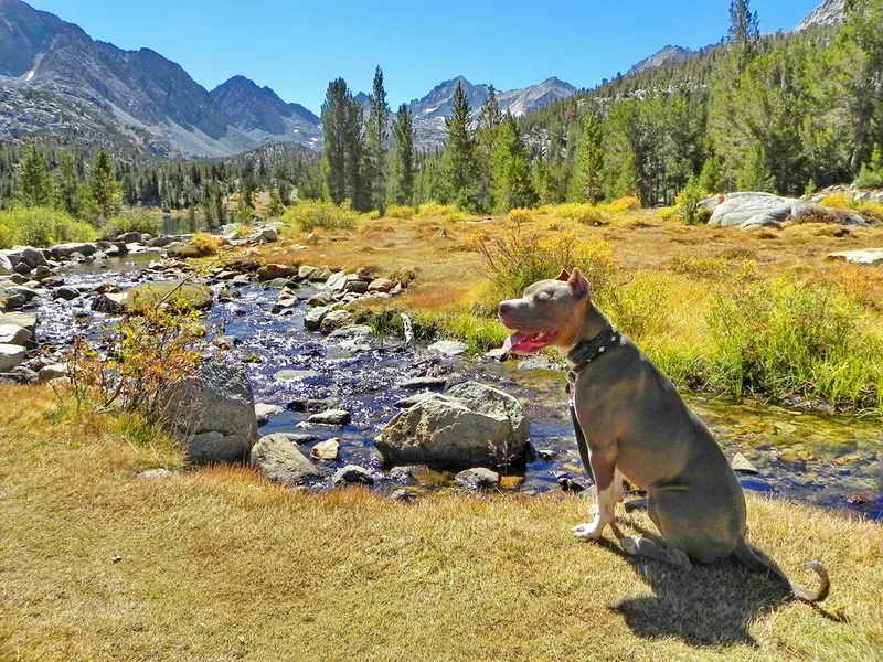 Calendar Photos 2014 — photo 8