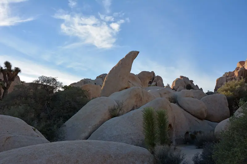Joshua Tree National Park — photo 8