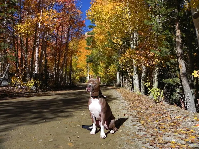 Calendar Photos 2014 — photo 9