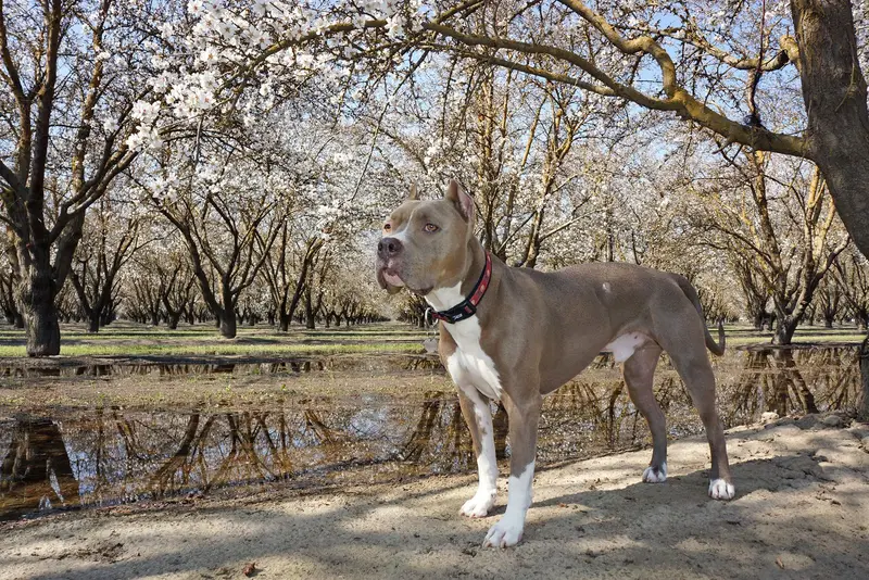 Calendar Photos 2015 — photo 9