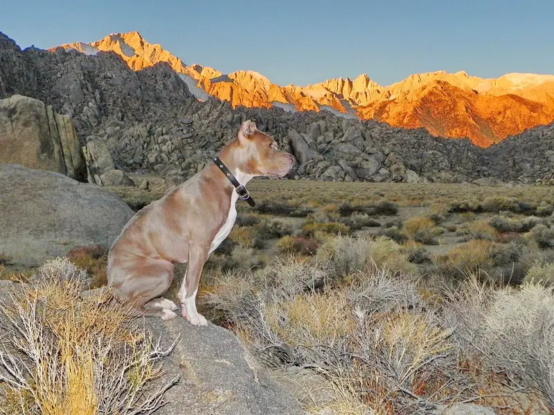 Calendar Photos 2015 — photo 12