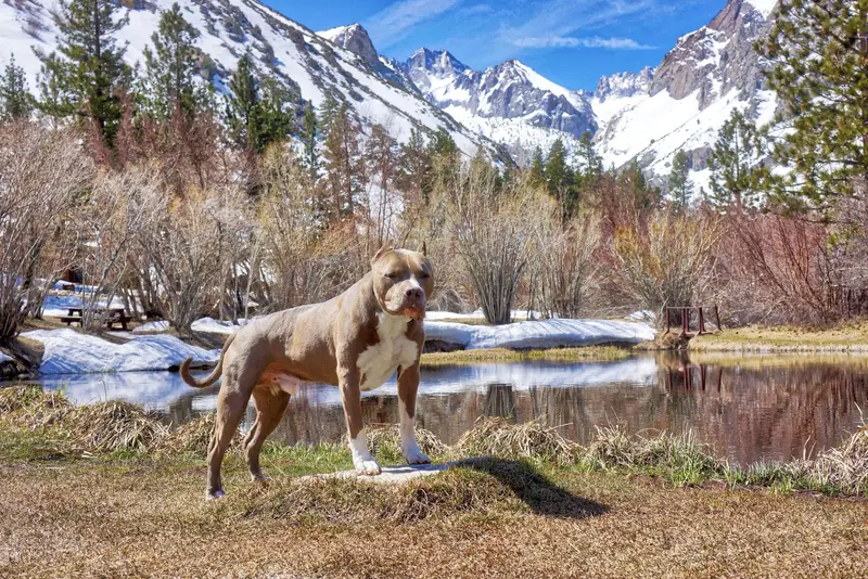 Calendar Photos 2018 — photo 13